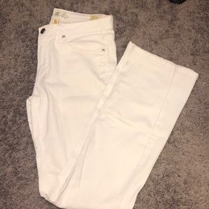Polo bootcut jeans